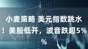 小麦策略 美元指数跳水！美股低开，波音跌超5%