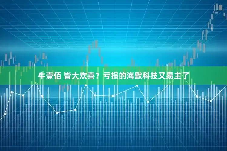牛壹佰 皆大欢喜？亏损的海默科技又易主了