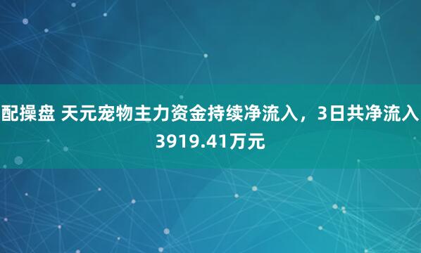 配操盘 天元宠物主力资金持续净流入，3日共净流入3919.41万元